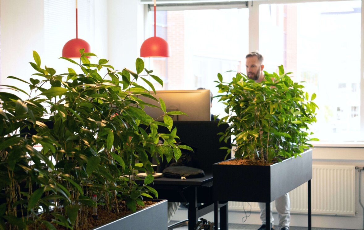 Oveheids oplossingen