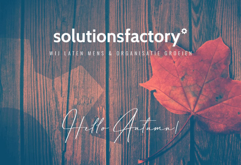 TSF NOW Nieuwsbrief Herfst 2024